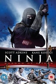 Ninja: Shadow of a Tear (2013) HD