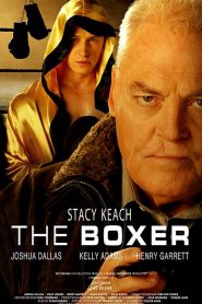 The Boxer (2009) HD