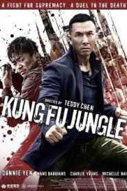 Kung Fu Jungle (2014) HD