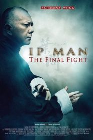 Ip Man: The Final Fight (2013) HD