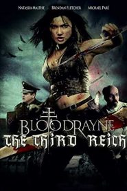 BloodRayne: The Third Reich (2011) HD