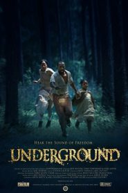 Underground (2011) HD