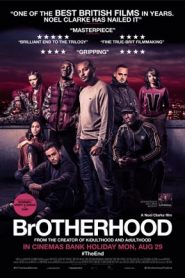 Brotherhood (2016) HD