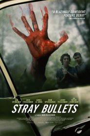 Stray Bullets (2016) HD