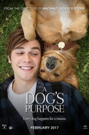A Dog’s Purpose (2017) HD