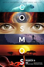 Cosmos: A Spacetime Odyssey: Sezoni 1