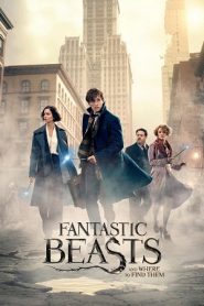 Fantastic Beasts and Where to Find Them (2016) HD