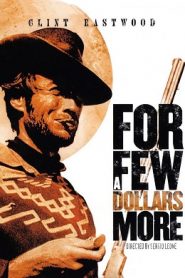 For a Few Dollars More (1965) HD