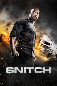 Snitch (2013) HD