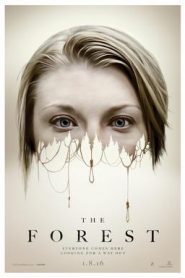 The Forest (2016) HD