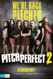 Pitch Perfect 2 (2015) HD