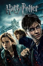 Harry Potter and the Deathly Hallows: Part 1 (2010) HD