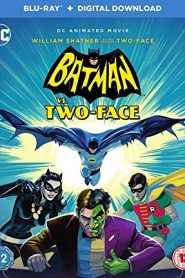 Batman vs. Two-Face (2017) HD