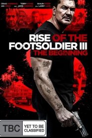 Rise of the Footsoldier 3 (2017) HD