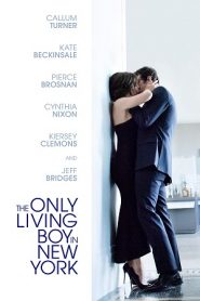 The Only Living Boy in New York (2017) HD