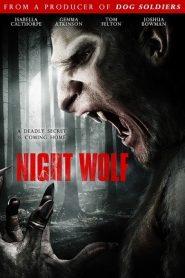 13Hrs aka Night Wolf (2010) HD