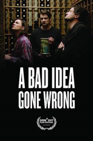 A Bad Idea Gone Wrong (2017) HD