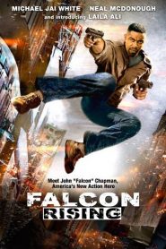 Falcon Rising (2014) HD