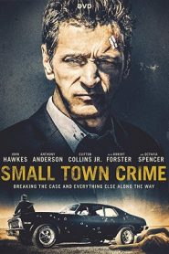 Small Town Crime (2017) HD