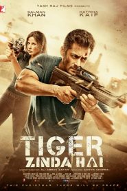 Tiger Zinda Hai (2017) HD