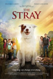 The Stray (2017) HD