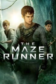 The Maze Runner (2014) HD