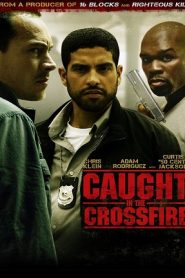Caught in the Crossfire (2010) HD