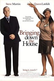 Bringing Down the House (2003) DVD