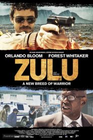 Zulu (2013) HD
