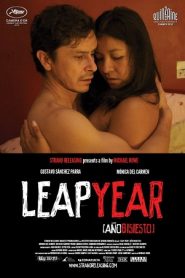 Leap Year (2010) HD