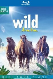 Wild Arabia (2013) HD