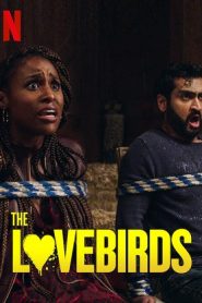 The Lovebirds (2020) HD