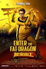 Enter the Fat Dragon (2020) HD