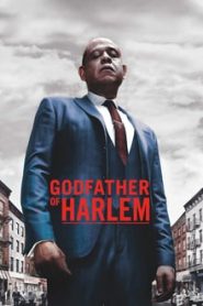 Godfather of Harlem: Sezoni 2