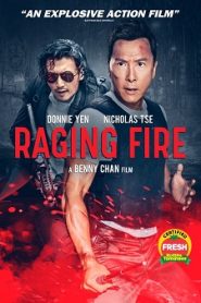 Raging Fire (2021)