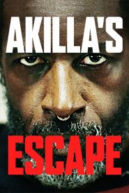 Akilla’s Escape (2020)