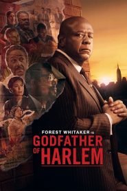 Godfather of Harlem: Sezoni 3